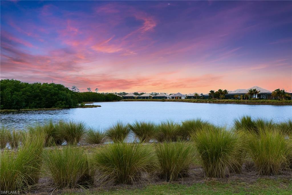 ISLES OF COLLIER PRESERVE - Residential