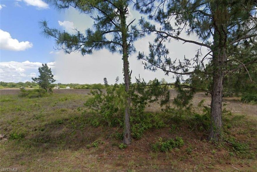 Lowest priced half acre parcel in Lehigh Acres! 1 street in from Joel Blvd. Surrounded by new construction homes! Hablo Espanol! Call today for more information.