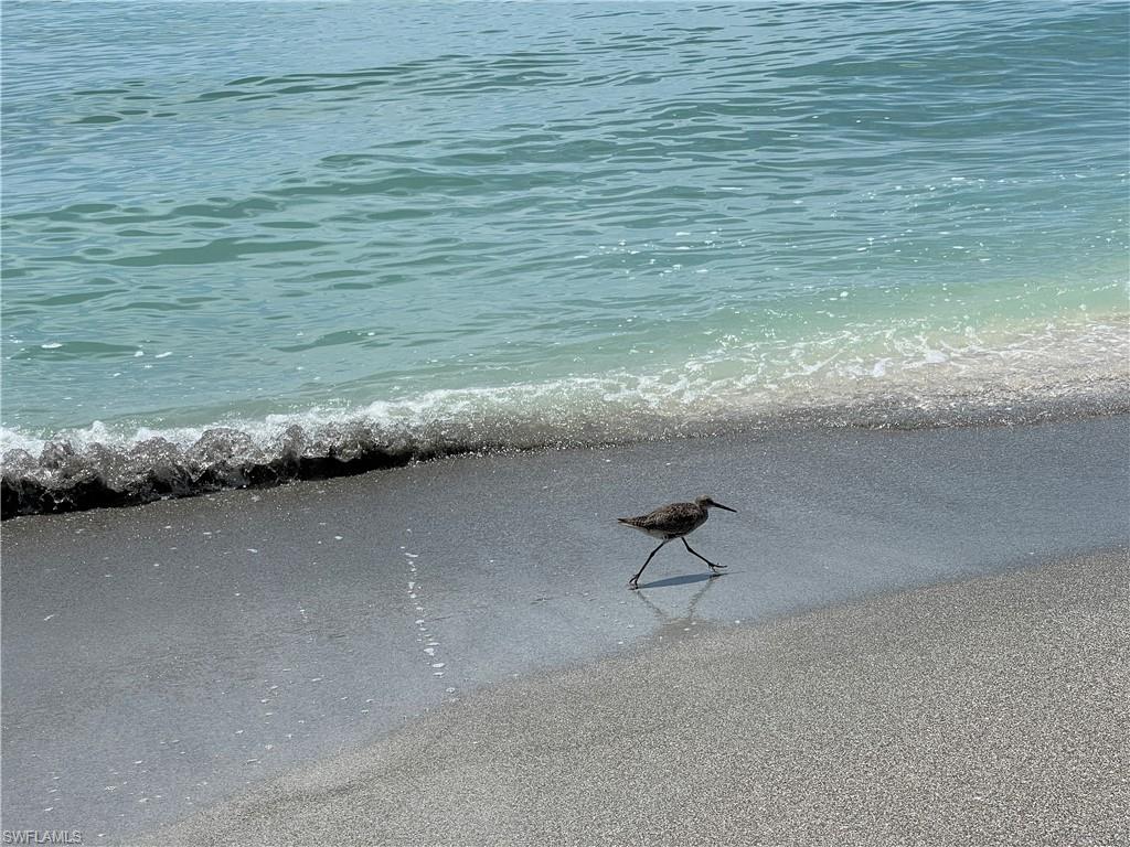 BEACH VILLAS CONDO - Residential