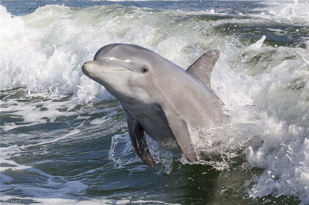 BEACH VILLAS CONDO - Residential