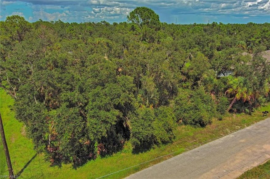 Rare 20,000 sqft double lot located in a convenient Port Charlotte close to main roads. Zoned for multi-family development. This prime property offers tremendous potential for investors and developers, perfect for building two large duplexes. Situated in a fast-growing area, this double lot provides ample space and flexibility for a variety of new construction projects. With the increasing demand for multi-family homes in Port Charlotte, this is an outstanding opportunity to maximize your investment. Don't miss out on this prime development site!