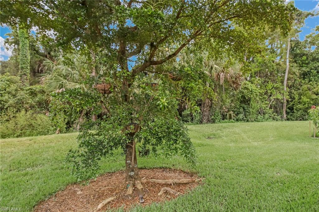 BUCKS RUN - Residential