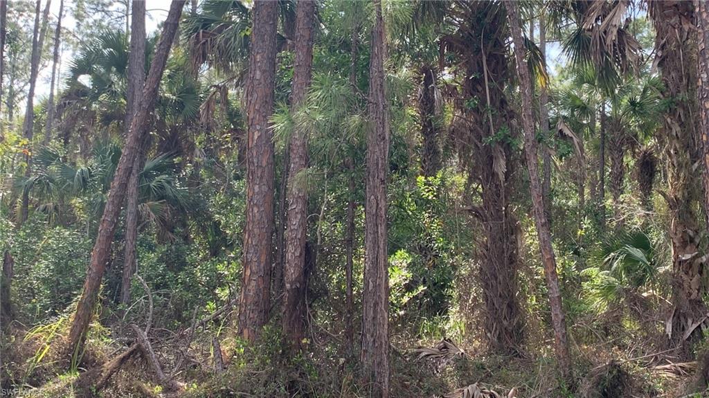 GOLDEN GATE ESTATES - Land