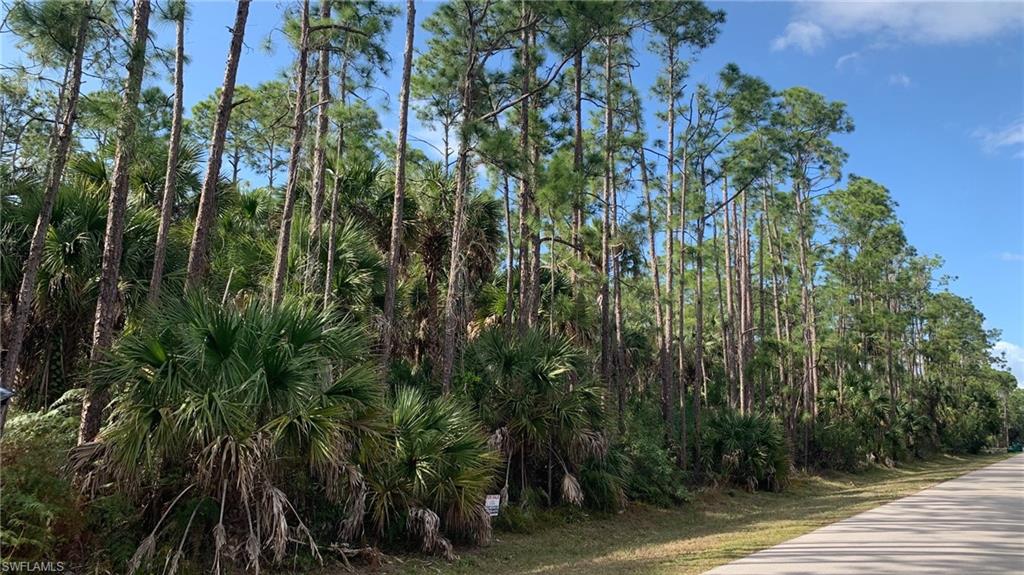 GOLDEN GATE ESTATES - Land