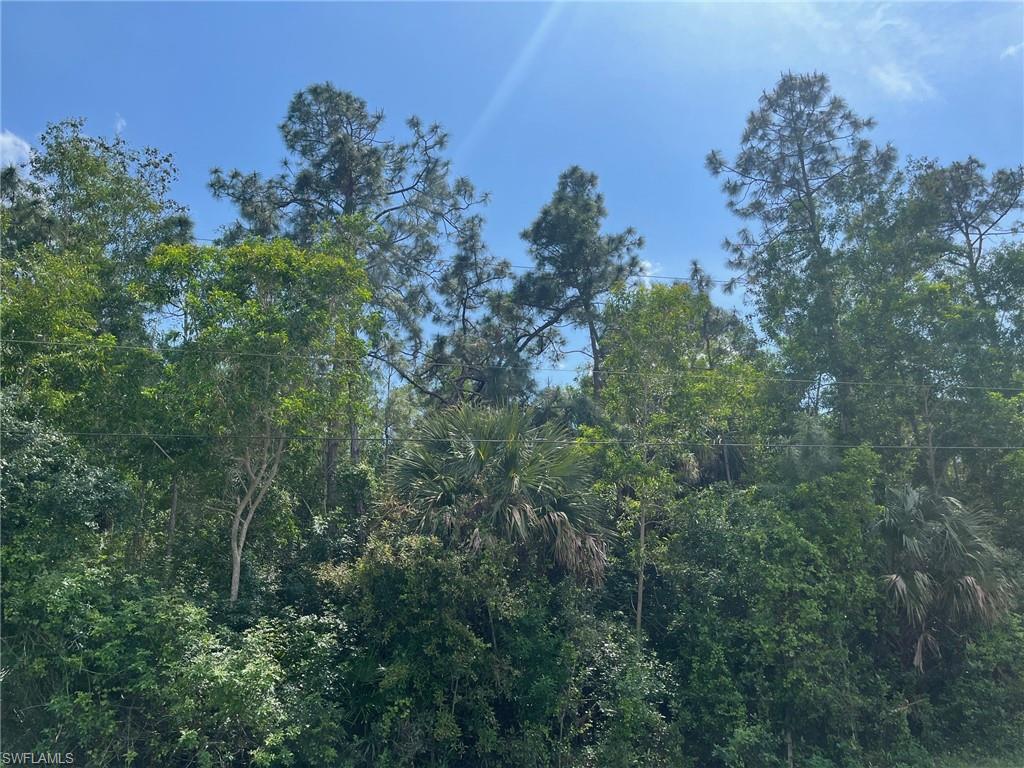 GOLDEN GATE ESTATES - Land