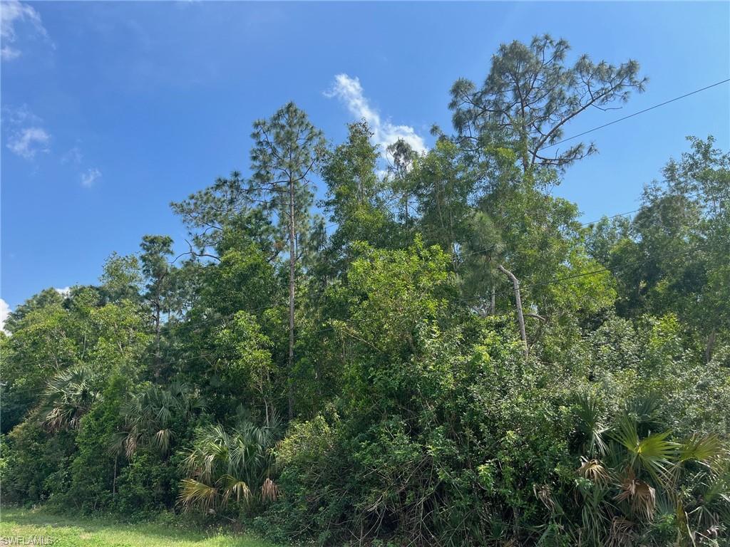 GOLDEN GATE ESTATES - Land