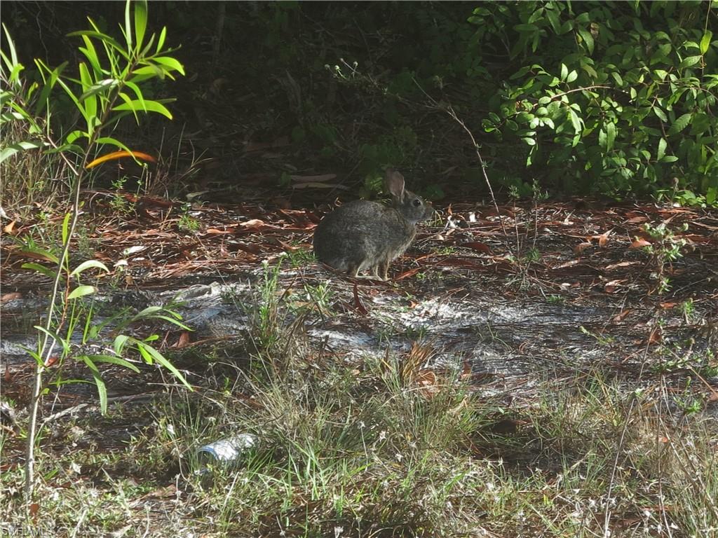 GOLDEN GATE ESTATES - Land