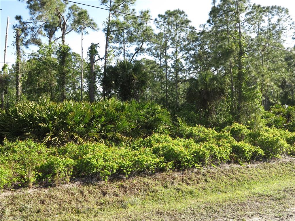 GOLDEN GATE ESTATES - Land