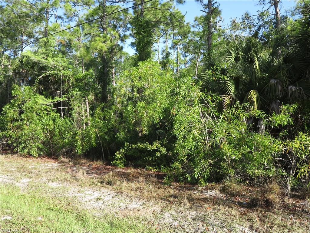 GOLDEN GATE ESTATES - Land