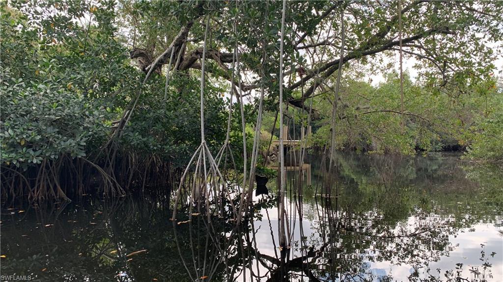 IRELAND + KING SUBD - Residential