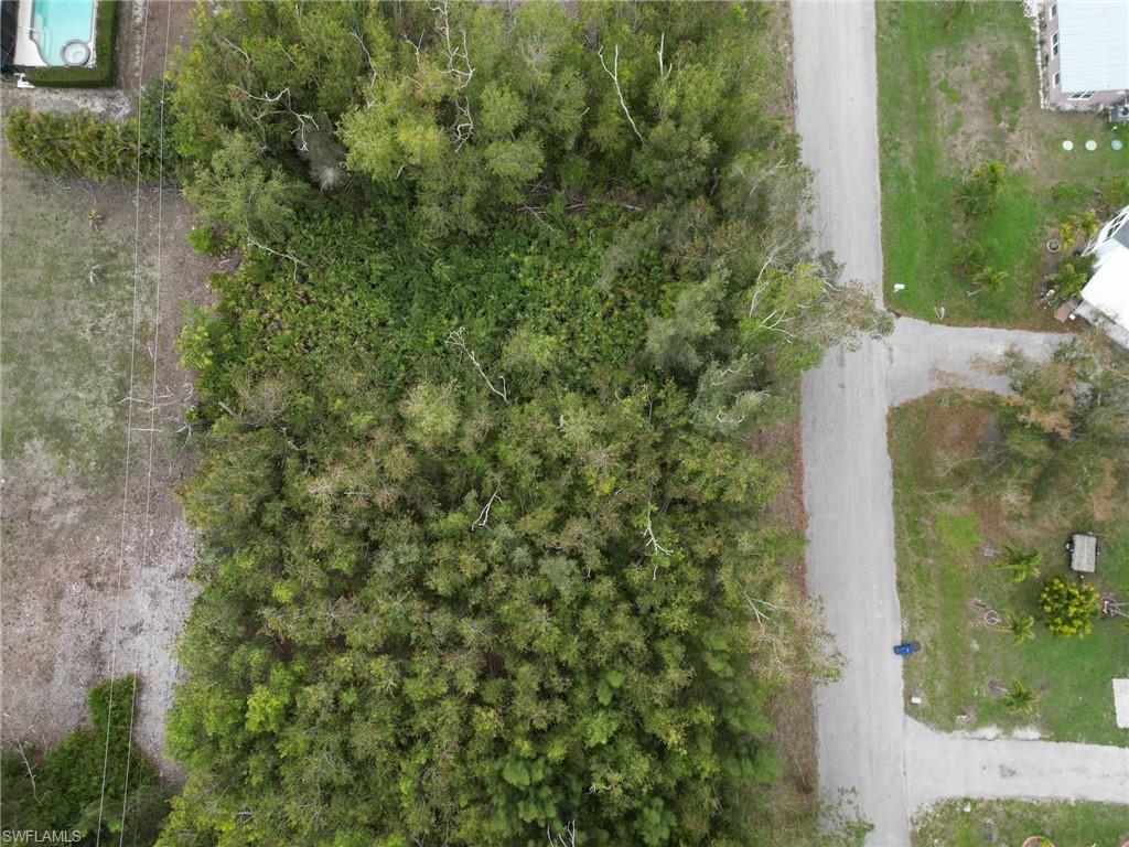 PINE ISLAND RIDGE - Land