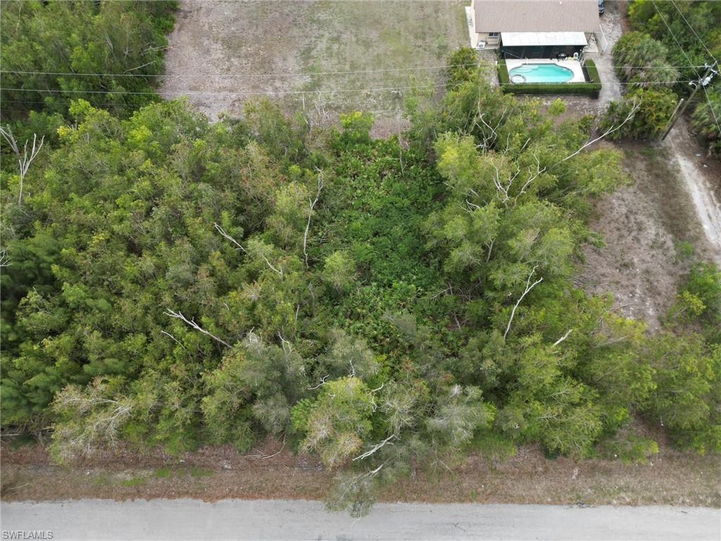 PINE ISLAND RIDGE - Land