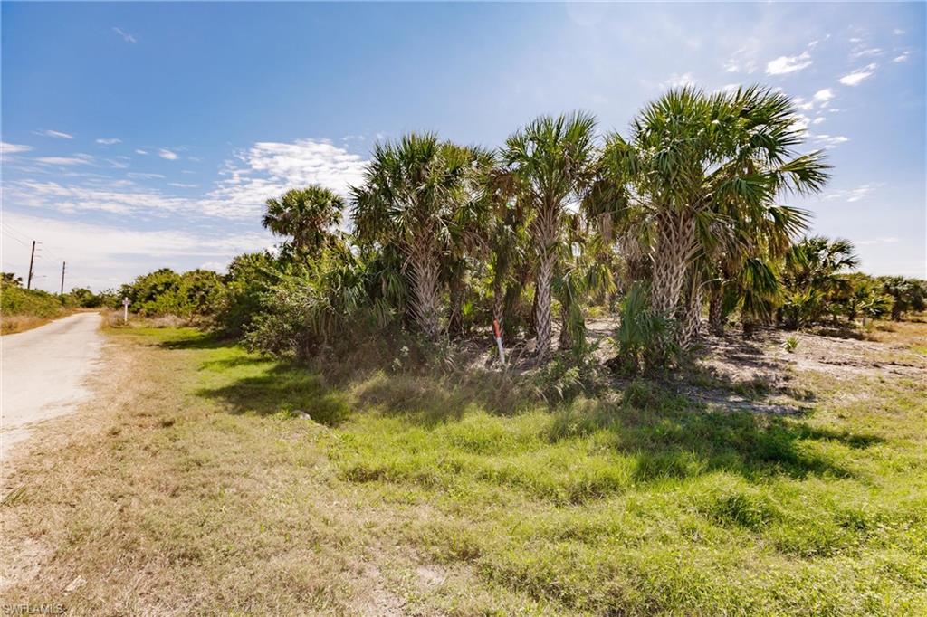 PUNTA GORDA ISLES - Land