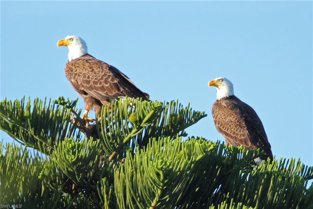 SANCTUARY AT WULFERT - Residential