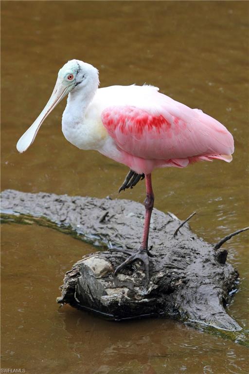 SANCTUARY AT WULFERT - Residential