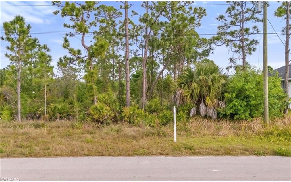 LEHIGH ACRES - Land