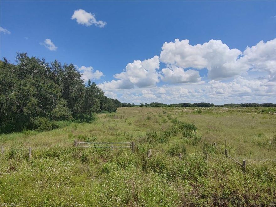Dream Big on 10 Sprawling Acres – No HOA, Endless Potential!
Great opportunity to build your private estate on 10 acres of open, scenic Florida countryside! Whether you're envisioning a custom luxury home, horse stables, a serene fishing pond, or simply a peaceful retreat with room to roam — this property offers the canvas to make it all happen. Enjoy true privacy with no HOA restrictions and no neighbors peeking through your windows. Despite the tranquil rural feel, you're just 20 minutes from Miromar Outlets, I-75, top-rated dining, and shopping.