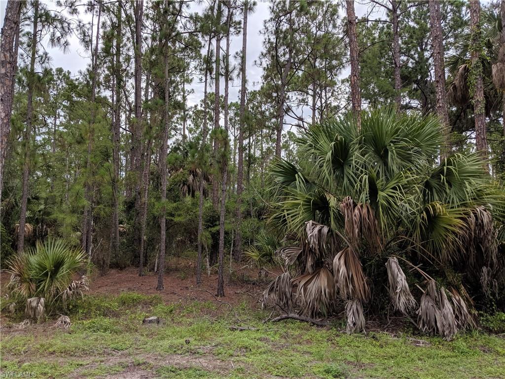 GOLDEN GATE ESTATES - Land