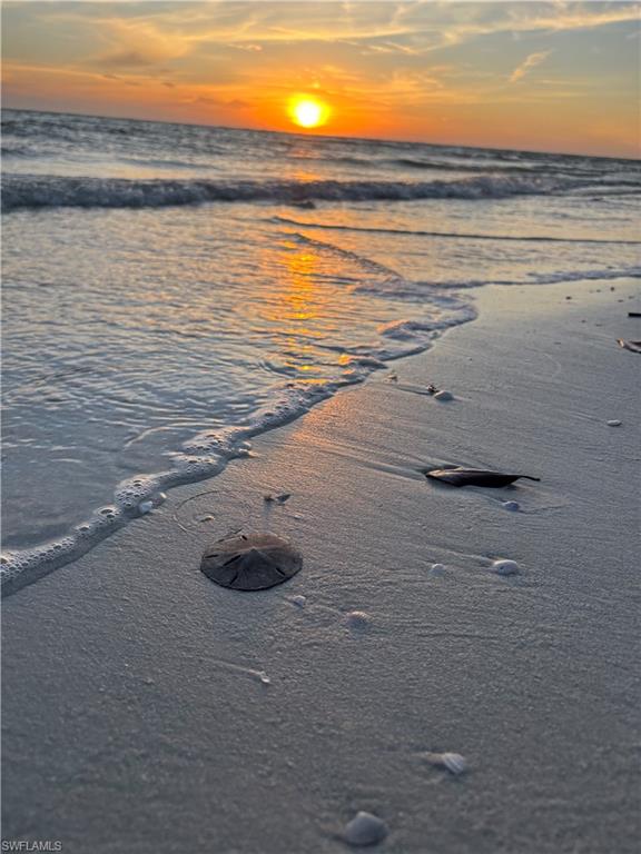 HIBISCUS POINTE - Residential