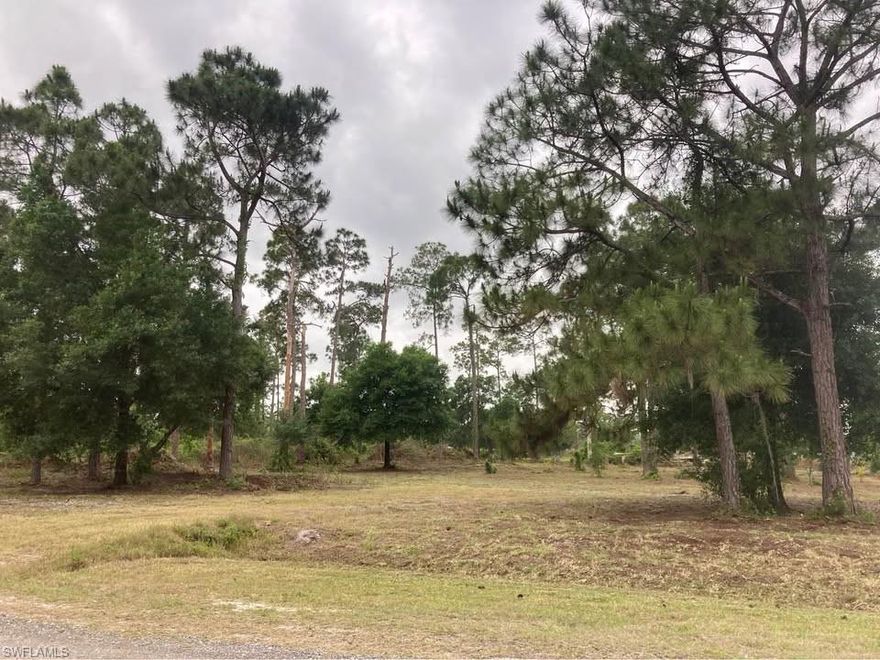 Take advantage of this great opportunity to own 1.06 acres of usable land in Montura Ranches. This spacious property is cleared and ready for your vision—whether you’re planning to build a custom home, install a mobile or manufactured home, or secure land as a long-term investment.  

The lot is partially fenced and already has a completed culvert in place, adding immediate value and convenience. With residential zoning and no HOA restrictions, you’ll enjoy the flexibility to create the lifestyle you want—room for a home, workshop, animals, garden, boats, RVs, and more.

Motivated seller — bring your offers! Secure your land today and build when the time is right.