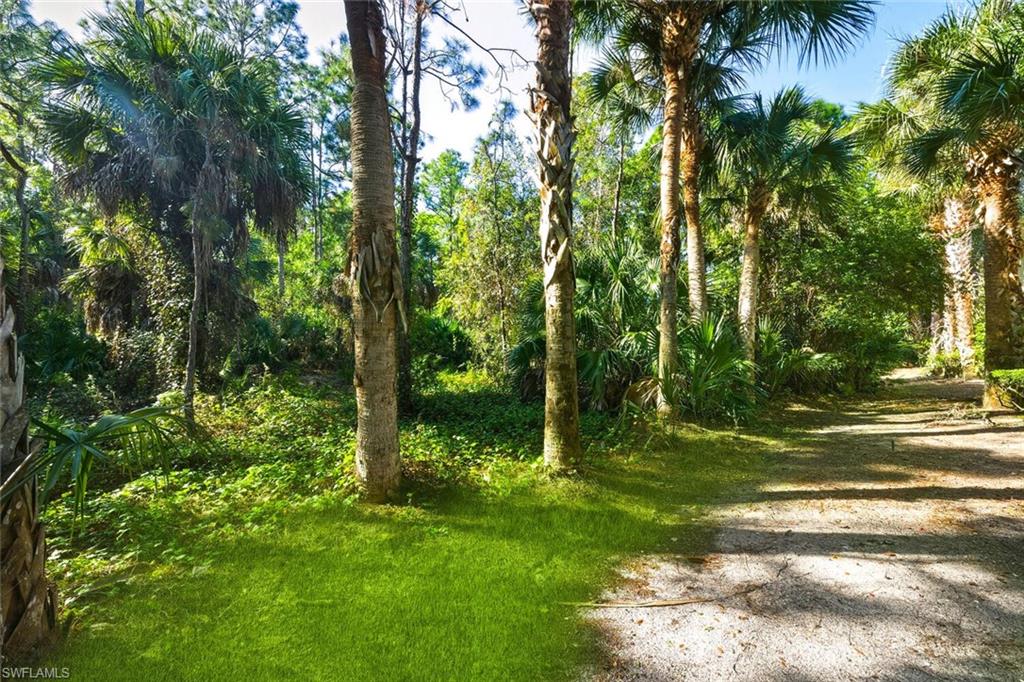 NEPTUNE BAY - Residential