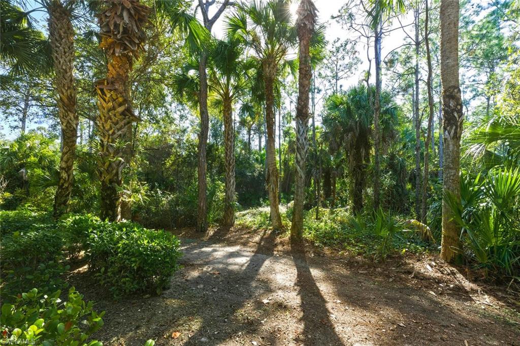 NEPTUNE BAY - Residential