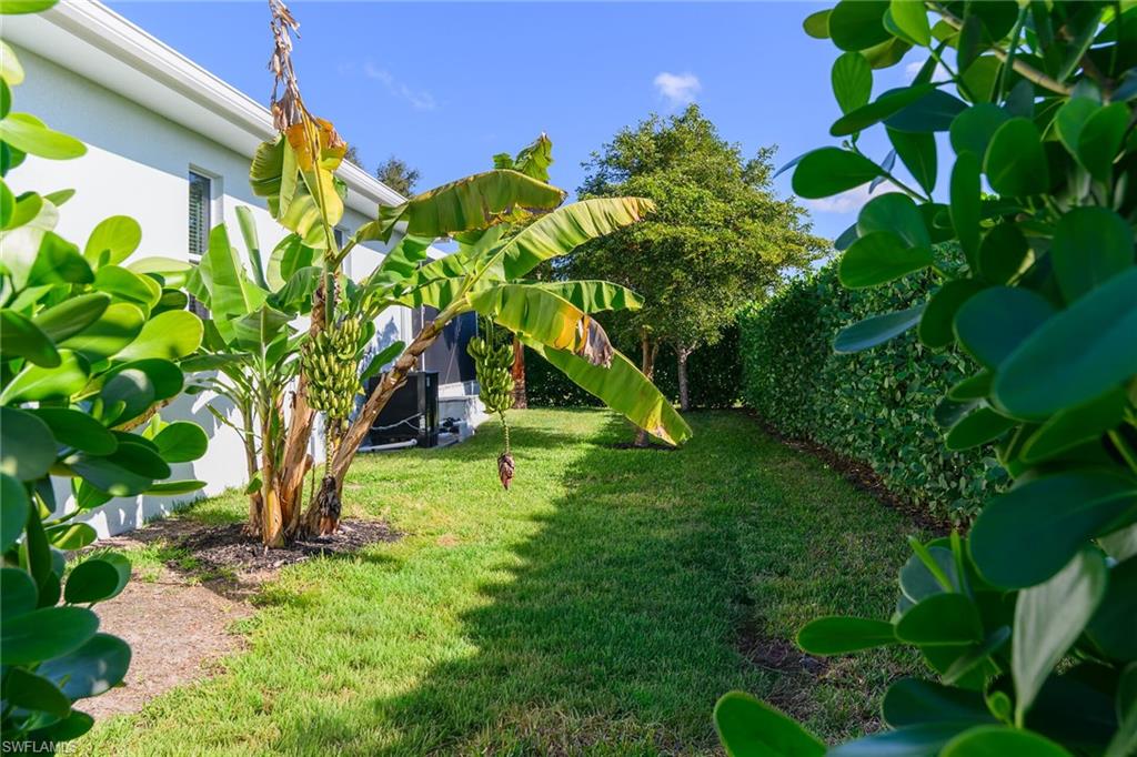 MARCO ISLAND - Residential