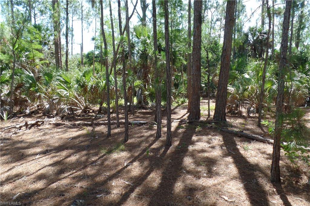 GOLDEN GATE ESTATES - Land