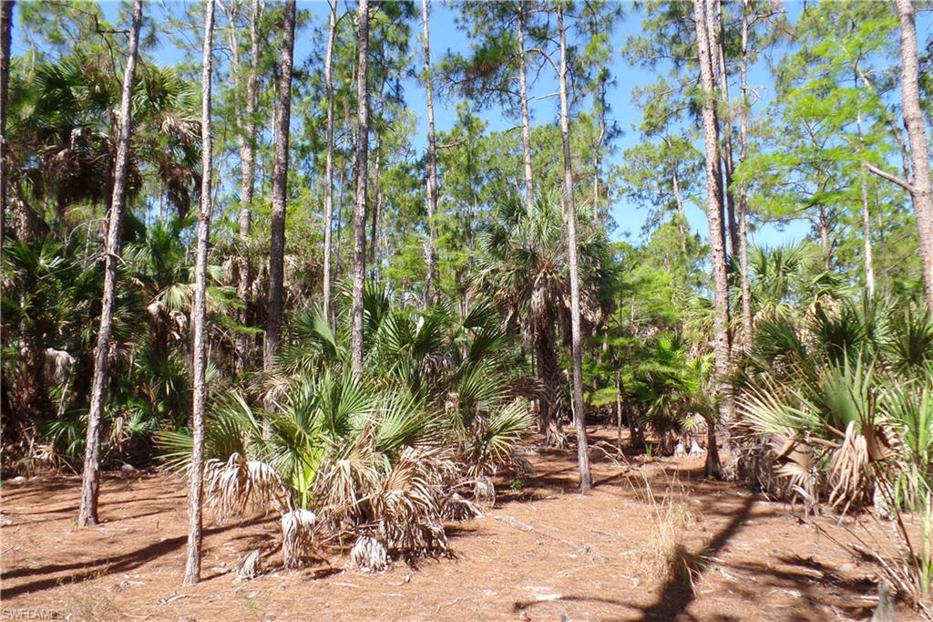 GOLDEN GATE ESTATES - Land