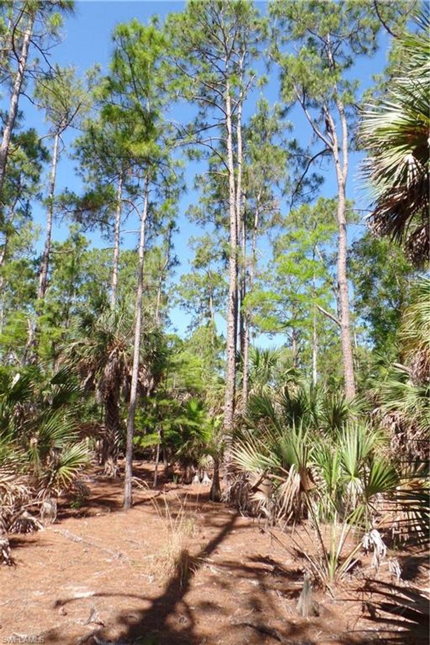 An informal wetland determination reports property to be 100% Upland.  Popular Schools are Gulf Coast High School, Oakridge Middle and Vineyards Elementary.  Close to shopping, restaurants, beach, I-75 access , can have a guest house and out buildings.  Horses ok .    This lot is closer toward the end of the street not a lot of traffic, perfect for a walk or run.  No small lots on this street, mostly custom homes, Wonderful neighbors willing to help out.  Special place.   2.58 Acres  165X680   PID. is available too 36613960103  MLS#221059962  recently subdivided by the appraiser.