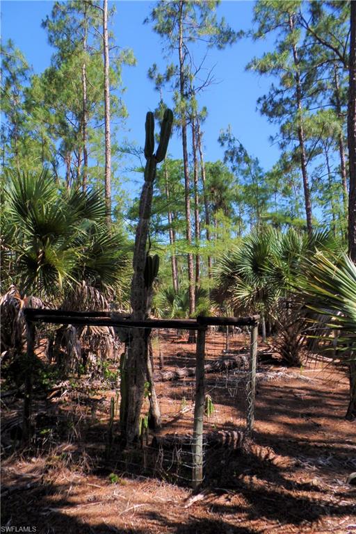 GOLDEN GATE ESTATES - Land