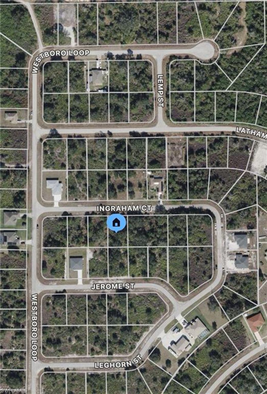 Paved road and electric available at the curb. New homes close by. No flood zone. Buildable lot perfect for investors looking to build a home or hold for investment. One of the lowest priced parcels in Lehigh Acres. No wetlands per the wetlands mapper. Hablo Español!