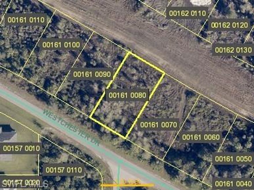 Amazing lot available in Unit 27!  With north eastern rear exposure! Build your dream house here!!! Many new homes being built in the area.  Easy access to Fort Myers and 75.  This reasonably priced lot is less than other nearby properties for sale! Hurry, This will not last long!!!!  Also 11 other lots for sale as well. Please call for information.