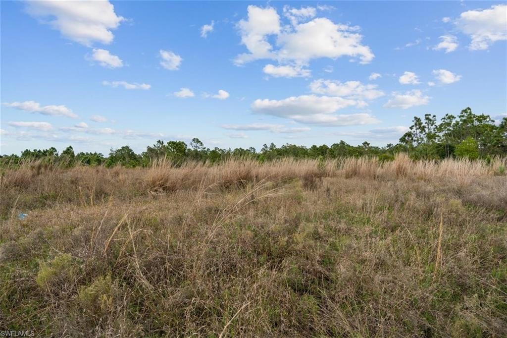 GOLDEN GATE ESTATES - Land