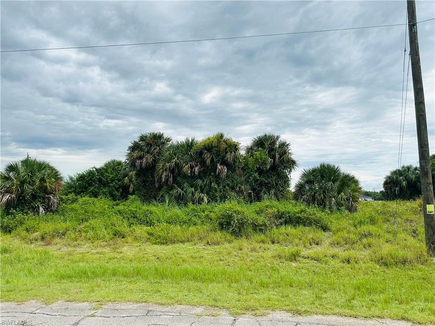 Prime residential lot available in the fast-growing Port LaBelle community, offering an excellent opportunity to build your dream home or a smart investment property.

This spacious 0.25-acre parcel provides plenty of room for a custom home design, outdoor living, and a large yard while being surrounded by the natural charm and peaceful atmosphere of LaBelle. 
Located on a city-maintained paved road with central water and electricity already available, this property combines convenience and readiness for development. No HOA fees and no flood zone designation make ownership simple and stress free.

The neighborhood is close to everyday essentials including schools, parks, and shopping, and just minutes from SR 80 for quick connections to Fort Myers, Lehigh Acres, and the Gulf Coast beaches, with Miami reachable in only two hours. Port LaBelle continues to attract growth and new construction, making this lot an exceptional choice for buyers who want to secure land in a thriving area with long-term potential.

Whether you are planning your forever home, a seasonal getaway, or an investment for the future, this property provides a versatile and affordable opportunity in one of Southwest Florida’s most promising communities.