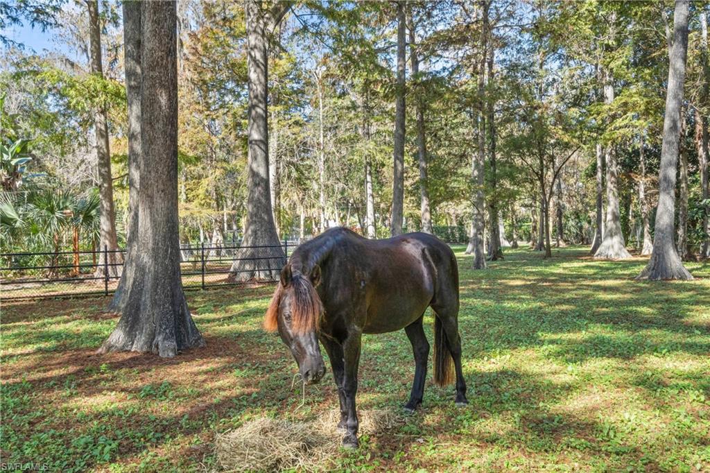 COLLIER WOODS - Residential