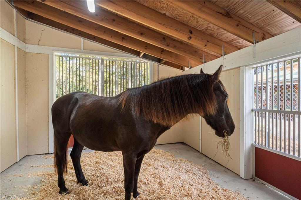 COLLIER WOODS - Residential