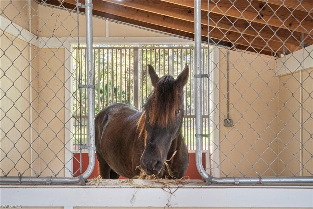 COLLIER WOODS - Residential
