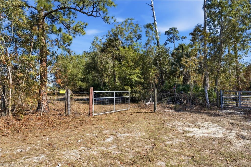 GOLDEN GATE ESTATES - Land