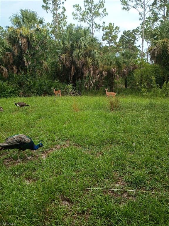 GOLDEN GATE ESTATES - Land