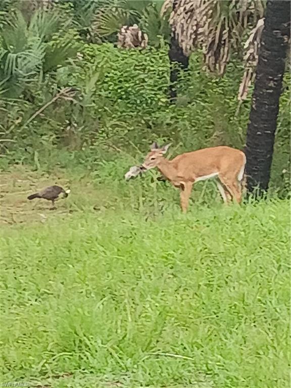 GOLDEN GATE ESTATES - Land