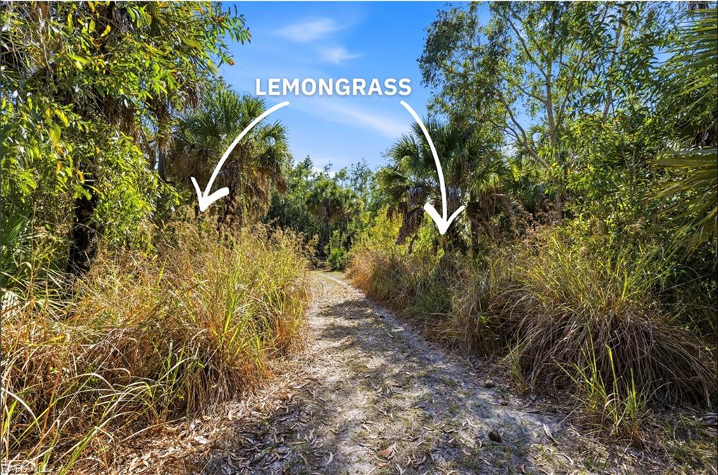 GOLDEN GATE ESTATES - Land