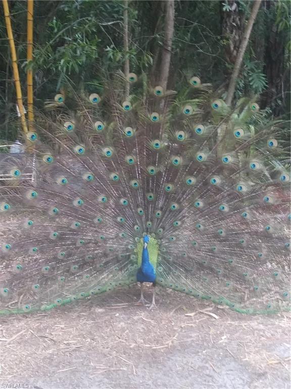 GOLDEN GATE ESTATES - Land