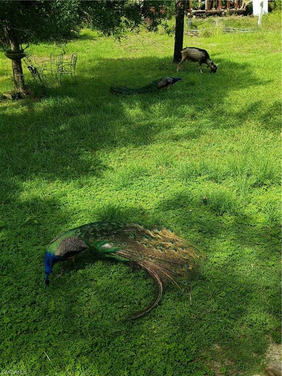 GOLDEN GATE ESTATES - Land