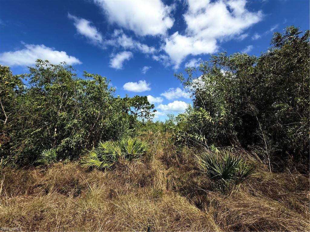 KREAMERS AVOCADO UNREC - Land