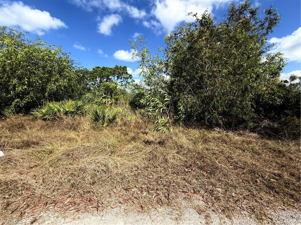 KREAMERS AVOCADO UNREC - Land