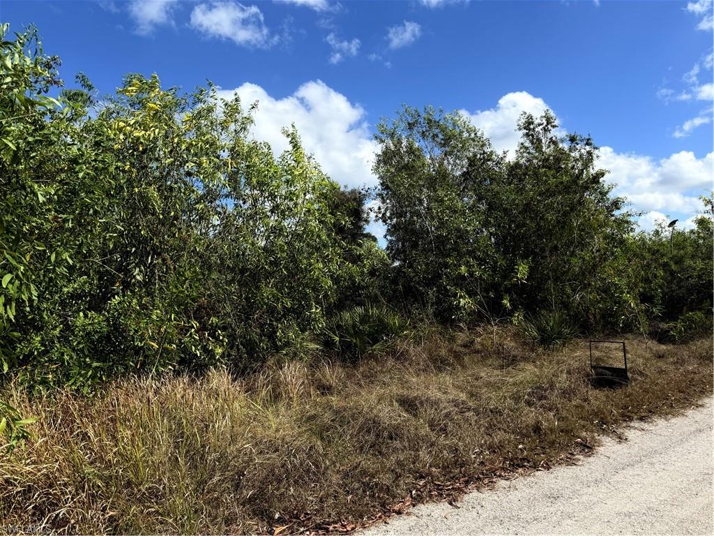 KREAMERS AVOCADO UNREC - Land