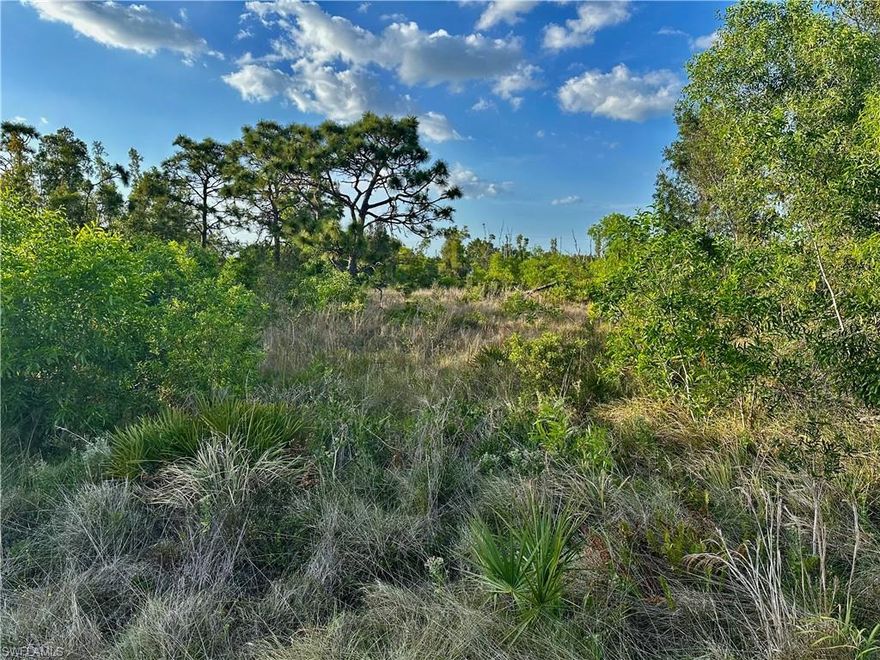 Perched on Calusa Ridge on Pine Island, this oversized, non-flood-zone homesite presents an exceptional opportunity to create a custom luxury residence in one of Southwest Florida’s most authentic island settings. The level lot is cleared and build-ready, with a completed survey and architectural building plans already prepared (see documents). A prior septic permit lapsed in August 2024, providing a strong starting point for re-permitting.

Electric service via LCEC and water service from the Pine Island Water Association are available along Sandal Lane. With generous space for a resort-style pool, guest casita, gardens, or private workshop, the property offers flexibility to design a refined island retreat. No HOA restrictions or fees allow full architectural freedom.

Surrounded by orchards and palm groves, Pine Island is known for its understated elegance, privacy, and Old Florida charm. Nearby cultural and natural attractions include the Randell Research Center and protected lands preserved by the Calusa Land Trust. Fine dining at Tarpon Lodge and relaxed coastal favorites such as the Lazy Flamingo complete the lifestyle.

A rare luxury homesite offering privacy, elevation, and authenticity—ideal for discerning buyers seeking an exclusive Pine Island residence.