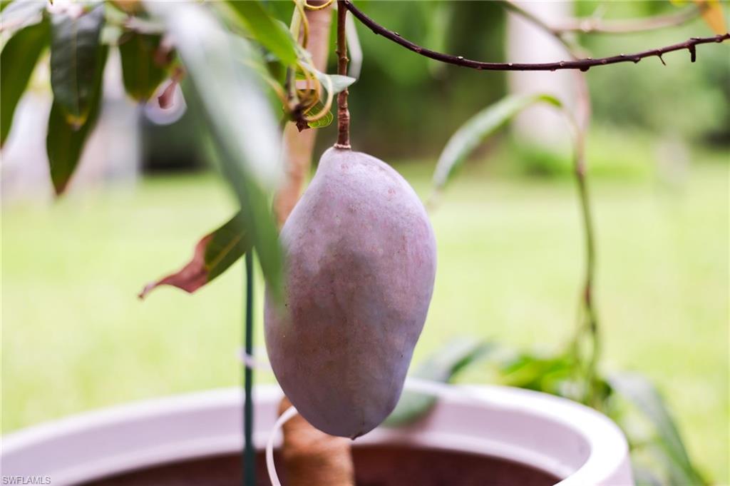 YACHT CLUB COLONY - Residential