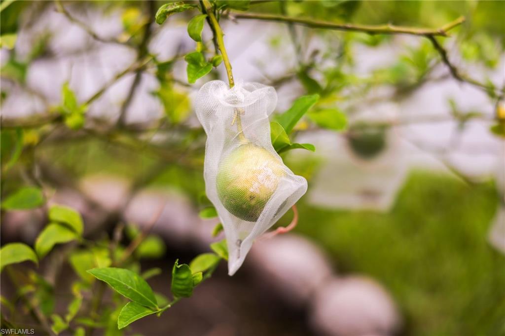 YACHT CLUB COLONY - Residential
